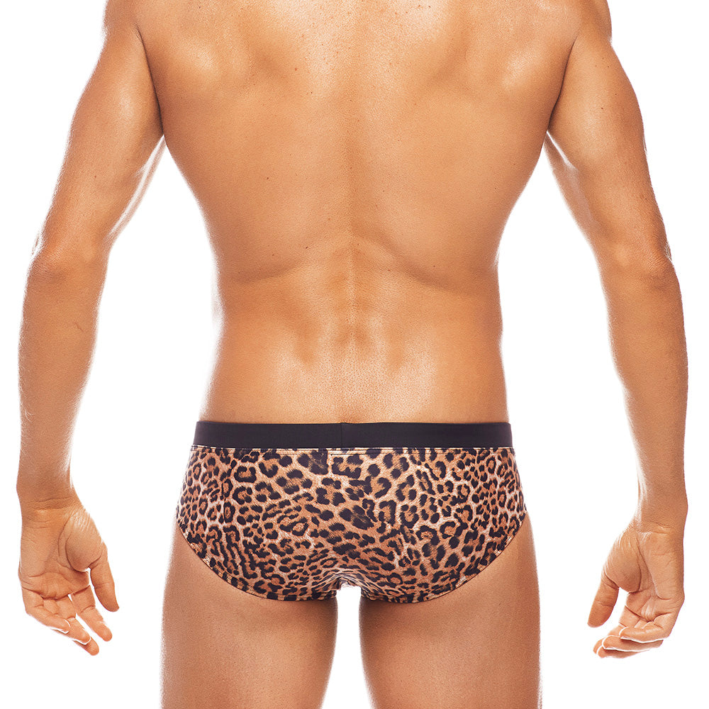 Africa - Leopard  - Lo Rise Swim Brief