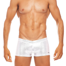 Load image into Gallery viewer, Las Vegas - Silver - Swim Trunk
